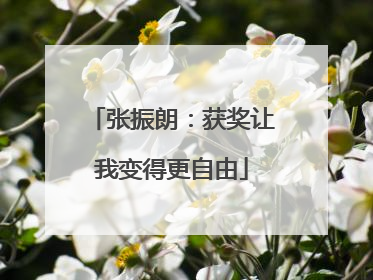 张振朗：获奖让我变得更自由