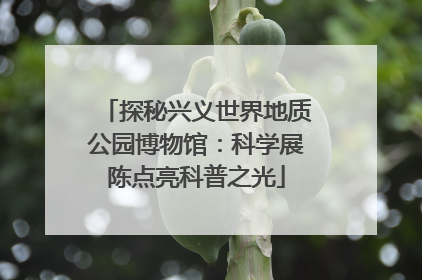 探秘兴义世界地质公园博物馆：科学展陈点亮科普之光