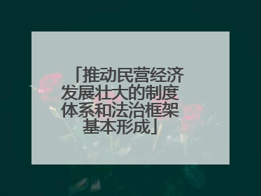 推动民营经济发展壮大的制度体系和法治框架基本形成