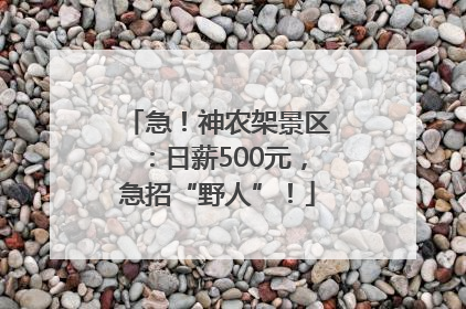 急！神农架景区：日薪500元，急招“野人”！