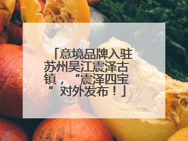 意境品牌入驻苏州吴江震泽古镇，“震泽四宝”对外发布！