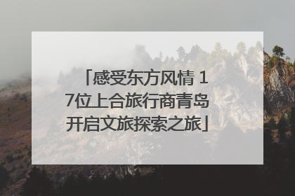 感受东方风情 17位上合旅行商青岛开启文旅探索之旅