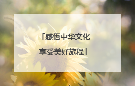 感悟中华文化 享受美好旅程