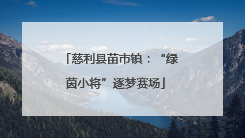 慈利县苗市镇：“绿茵小将”逐梦赛场