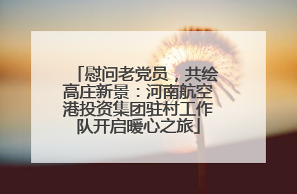 慰问老党员，共绘高庄新景：河南航空港投资集团驻村工作队开启暖心之旅