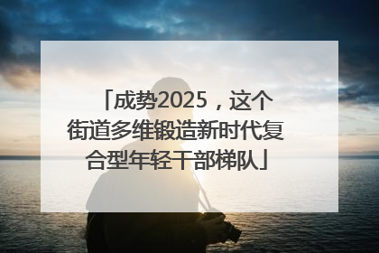 成势2025，这个街道多维锻造新时代复合型年轻干部梯队