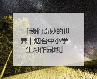 我们奇妙的世界｜烟台中小学生习作园地