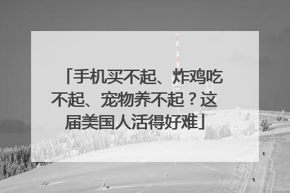 手机买不起、炸鸡吃不起、宠物养不起？这届美国人活得好难