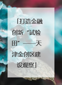 打造金融创新“试验田”——天津金创区建设观察