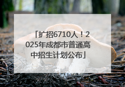 扩招6710人！2025年成都市普通高中招生计划公布