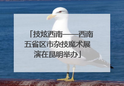 技炫西南——西南五省区市杂技魔术展演在昆明举办
