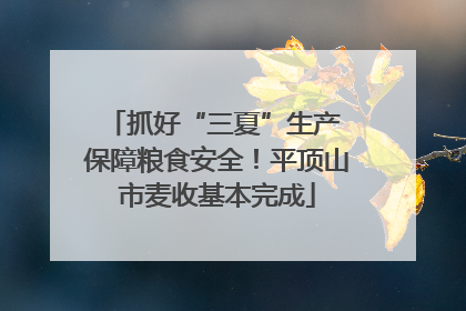 抓好“三夏”生产 保障粮食安全！平顶山市麦收基本完成