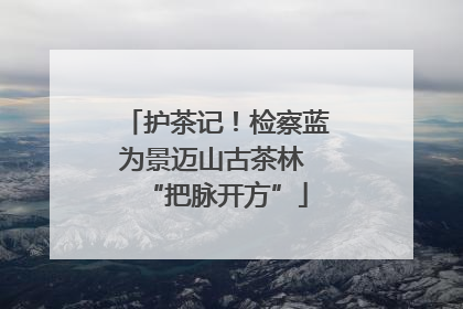 护茶记！检察蓝为景迈山古茶林 “把脉开方”
