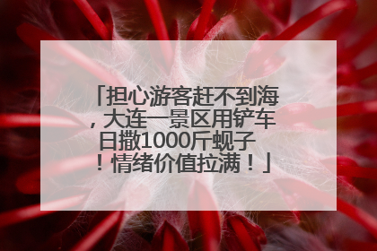 担心游客赶不到海，大连一景区用铲车日撒1000斤蚬子！情绪价值拉满！