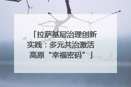 拉萨基层治理创新实践：多元共治激活高原“幸福密码”