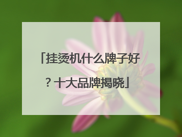 挂烫机什么牌子好？十大品牌揭晓