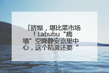 挤爆，堪比菜市场！Labubu“痛墙”空降静安嘉里中心，这个精灵还要“突袭”便利店？