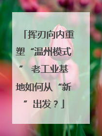 挥刃向内重塑“温州模式” 老工业基地如何从“新”出发？