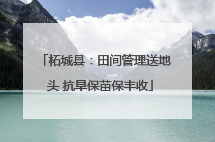 柘城县：田间管理送地头 抗旱保苗保丰收