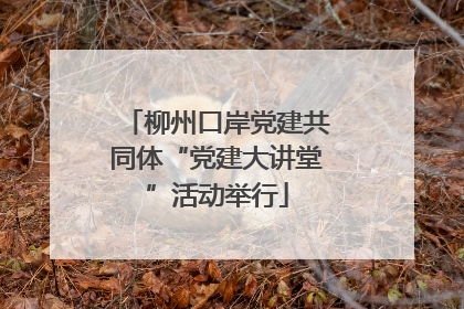 柳州口岸党建共同体“党建大讲堂”活动举行