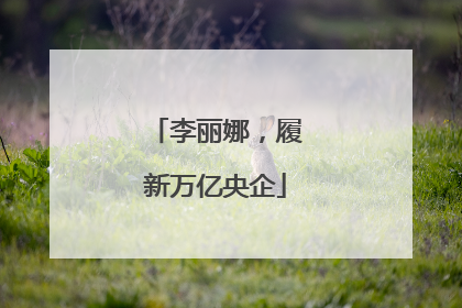 李丽娜，履新万亿央企