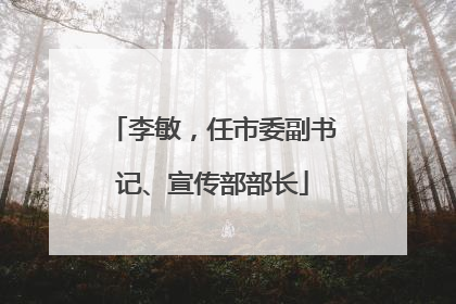 李敏，任市委副书记、宣传部部长