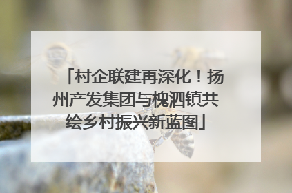 村企联建再深化！扬州产发集团与槐泗镇共绘乡村振兴新蓝图