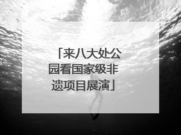 来八大处公园看国家级非遗项目展演