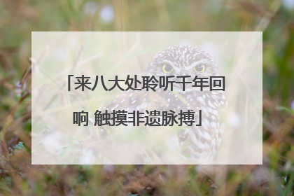 来八大处聆听千年回响 触摸非遗脉搏