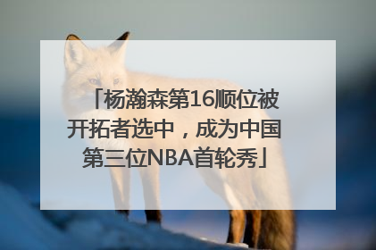 杨瀚森第16顺位被开拓者选中，成为中国第三位NBA首轮秀
