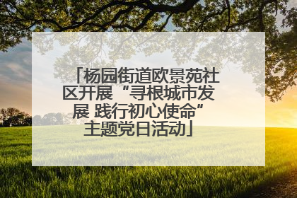 杨园街道欧景苑社区开展“寻根城市发展 践行初心使命”主题党日活动