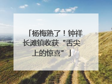 杨梅熟了！钟祥长滩镇收获“舌尖上的惊喜”