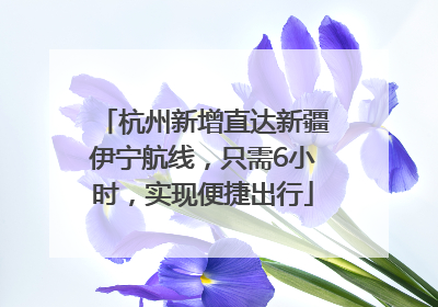 杭州新增直达新疆伊宁航线，只需6小时，实现便捷出行