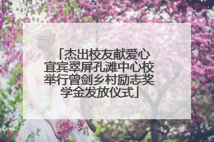 杰出校友献爱心 宜宾翠屏孔滩中心校举行曾剑乡村励志奖学金发放仪式