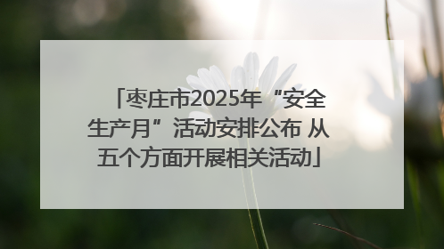 枣庄市2025年“安全生产月”活动安排公布 从五个方面开展相关活动