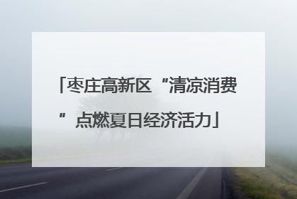 枣庄高新区“清凉消费”点燃夏日经济活力
