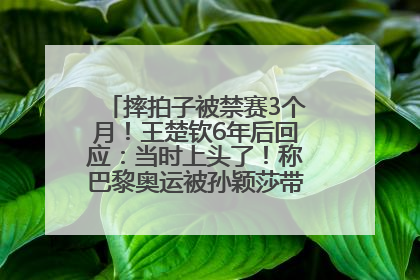 摔拍子被禁赛3个月！王楚钦6年后回应：当时上头了！称巴黎奥运被孙颖莎带着打，搭档8年“一个眼神就能懂”