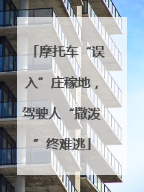 摩托车“误入”庄稼地，驾驶人“撒泼”终难逃