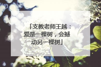 支教老师王越：爱是一棵树，会撼动另一棵树