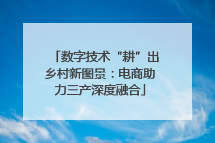 数字技术“耕”出乡村新图景：电商助力三产深度融合