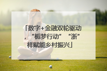 数字+金融双轮驱动，“栀梦行动”“浙”样赋能乡村振兴