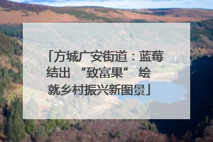 方城广安街道：蓝莓结出 “致富果” 绘就乡村振兴新图景