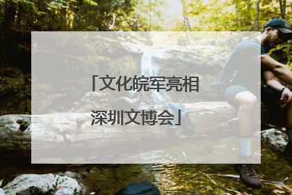文化皖军亮相深圳文博会