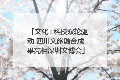 文化+科技双轮驱动 四川文旅融合成果亮相深圳文博会