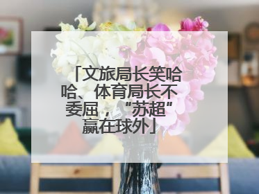 文旅局长笑哈哈、体育局长不委屈，“苏超”赢在球外