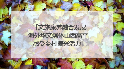 文旅康养融合发展 海外华文媒体山西高平感受乡村振兴活力