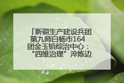 新疆生产建设兵团第九师白杨市164团金玉镇综治中心：“四维治理”淬炼边疆“枫桥样本”