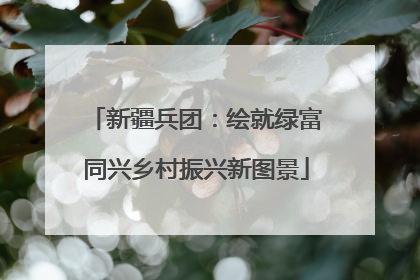 新疆兵团：绘就绿富同兴乡村振兴新图景