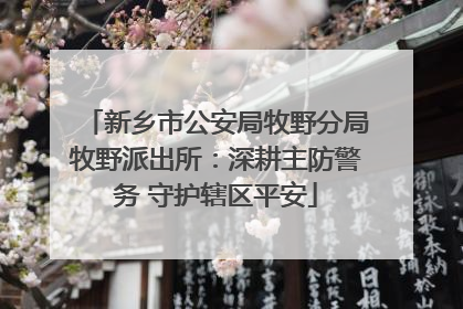 新乡市公安局牧野分局牧野派出所：深耕主防警务 守护辖区平安