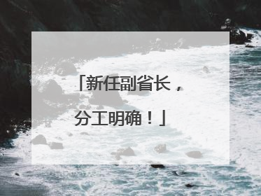 新任副省长，分工明确！